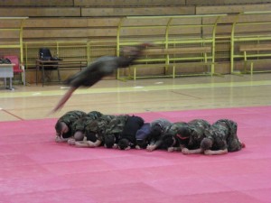 Seminar - HHS - 08 internacionalni