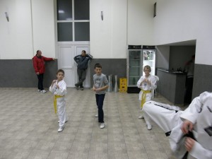 Polaganje za taekwondo učeničke pojaseve